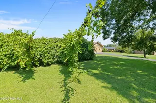 303 N Lincoln Street, Benson, NC 27504 – photo 14: Backyard - Grapevine