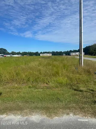 77 3A Old Daughtry Road, Princeton, NC 27569 – photo 3: 77 Old Daughtry pic 3