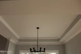 316 Bobbys Drive, Newport, NC 28570 – photo 6: trey ceiling in Dining room