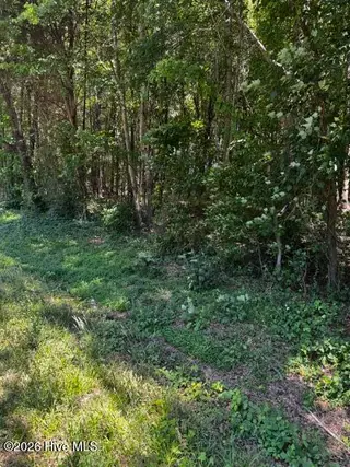 Lot 1 Dan Road, Robbins, NC 27325 – photo 5: 2