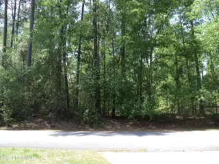 Lot 53 W Fairway Drive, Washington, NC 27889 – photo 4: 004 View from Road 2