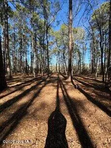 8 8 Pitch Kettle Court, Belhaven, NC 27810 – photo 7: small_photo (4)