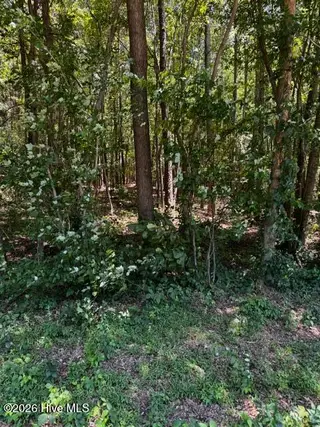 Lot 1 Dan Road, Robbins, NC 27325 – photo 4: IMG_5019