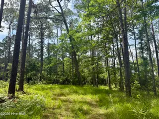 558 Sandy Point Drive, Beaufort, NC 28516 – photo 7: pathway to clearing