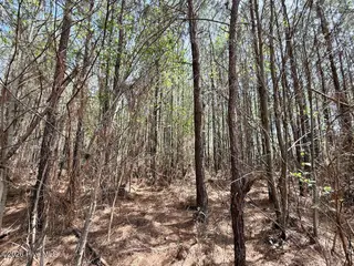 0 15 Guinea Mill Road, Ernul, NC 28527 – photo 18: IMG_1829