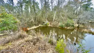 0 Lobelia Road, Vass, NC 28394 – photo 6: 8