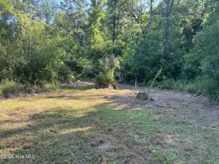 4676 Pleasant Plains Church Road, Whiteville, NC 28472 – photo 4: IMG_0799