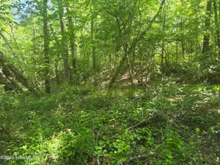 234 Circle Drive, Vass, NC 28394 – photo 2: 20260508_160834