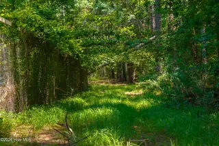 674 State Road 1415, Greenville, NC 27834 – photo 9: 674 State Road 1415 Greenville NC