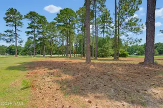 1940 Bill Hooks Road, Whiteville, NC 28472 – photo 4: Near_1940_Bill_H_004