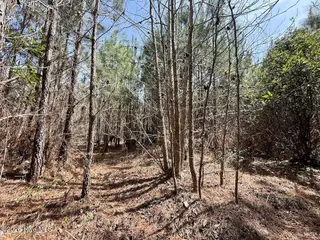 0 15 Guinea Mill Road, Ernul, NC 28527 – photo 23: IMG_1834