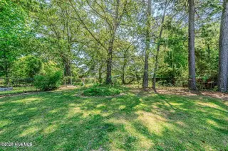 223 Spring Drive, Jacksonville, NC 28540 – photo 5: Backyard