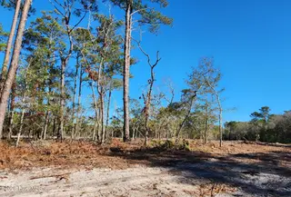Lot 91 Fletcher Key Street, Southport, NC 28461 — lot in Waterway, Southport, NC, photo 4 of 4: Lot 144