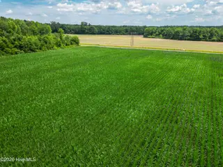 Tbd Farmers Union Road, Clarkton, NC 28433 – photo 10: ClarktonListing_MLS-14