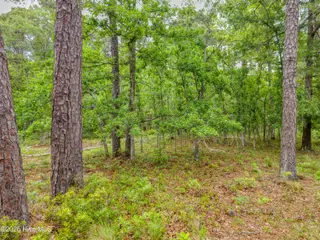 2302 304 Caracara Drive, New Bern, NC 28560 – photo 5: 20250508_155015b