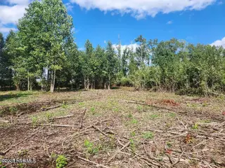 6943 1 Us 264 E, Greenville, NC 27834 – photo 13: INTERIOR6
