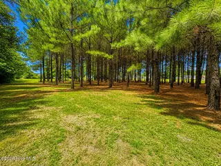 28 Bunn Road, Kenly, NC 27542 – photo 8: DD781179-78CB-4F09-8AC4-0037250FA5E3
