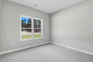 1760 Cardinal Drive, Deep Run, NC 28525 – photo 22: 29-1760 Cardianl Dr-29