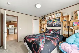 238 Lucille Lewis Drive, Marshallberg, NC 28553 – photo 18: Guest Bedroom