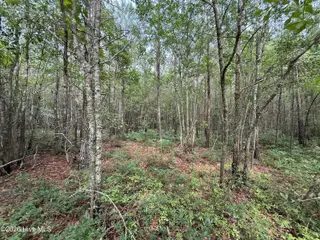 2162 Old Pamlico Beach Road W, Belhaven, NC 27810 – photo 2: IMG_4505