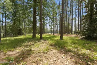 55 Apawamis Circle, Pinehurst, NC 28374 – photo 11: 16-web-or-mls-DSC04862