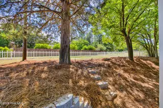1235 Burning Tree Road 12, Pinehurst, NC 28374 – photo 20: Backyard