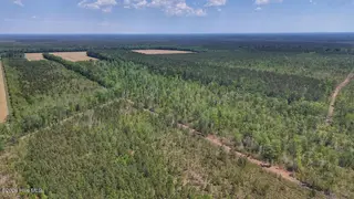 0 7 Guinea Mill Road, Ernul, NC 28527 – photo 18: 18