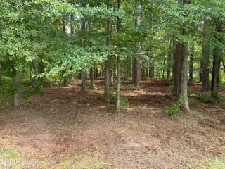 0 94 Winfield Lane, Pinetown, NC 27865 – photo 6: IMG_0574