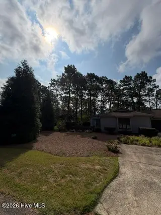 120 Sandham Court, Seven Lakes, NC 27376 – photo 10: Tall privacy shrubs