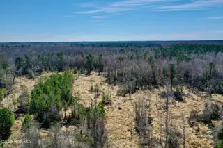 Tract 1 Haynes Lennon Highway, Cerro Gordo, NC 28430 – photo 3: Dudney 10 ac-3