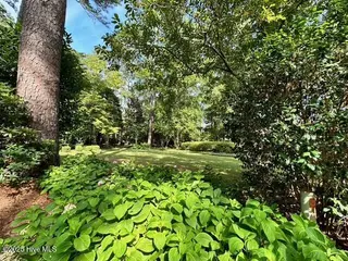 5003 Trent Woods Drive, Trent Woods, NC 28562 – photo 15: Meyer 8