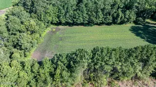 10455 Us Hwy 701 Highway, Newton Grove, NC 28366 – photo 10: 10455-9