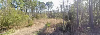 111 N Harbor Drive, Beaufort, NC 28516 – photo 2: 2_beyc6a7e562152efa