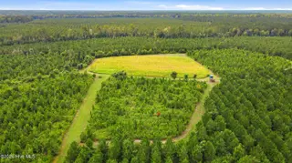 795 Pollard Swamp Road, Vanceboro, NC 28586 – photo 11: 11-print-DJI_0303 - edited