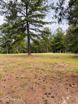 740 338 Broken Ridge Trail, West End, NC 27376 – photo 4: 338 from road