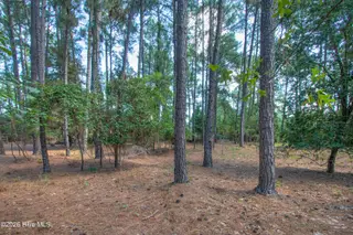 245 Pine Vista Drive, Pinehurst, NC 28374 – photo 4: InteriorFacingBackofLot1