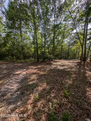 Tbd 2R-2 Peyton Drive, Eagle Springs, NC 27242 – photo 1: 2R-2