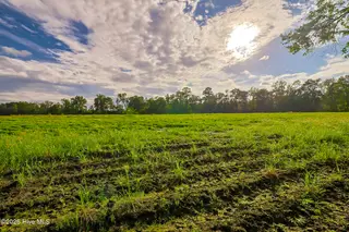 2 515 Porter Swamp Road, Cerro Gordo, NC 28430 – photo 7: 06