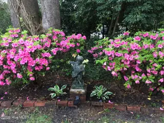 2412 Gillette Drive, Wilmington, NC 28403 – photo 6: Azaleas