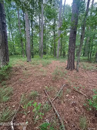 0 94 Winfield Lane, Pinetown, NC 27865 – photo 3: IMG_4261