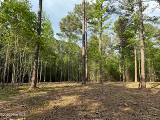 000 Tbd Lancaster Store Road Road, Spring Hope, NC 27882 – photo 4: Brown 1