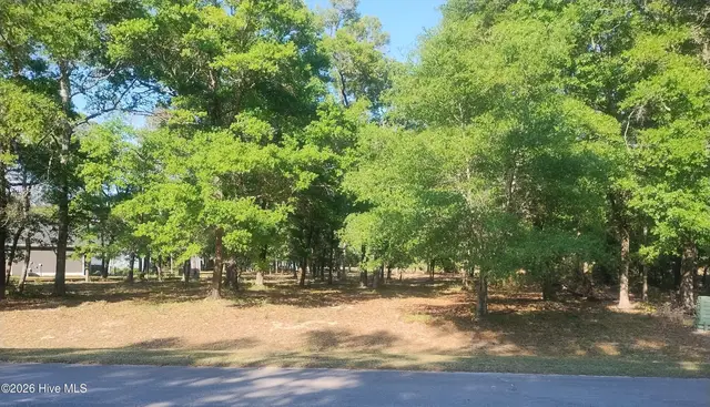 2168 210 Clambake Court SW, Supply, NC 28462