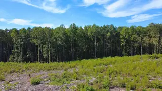 Tbd Dunhams Creek Lane, Carthage, NC 28327 — lot, Carthage, NC, photo 5 of 22