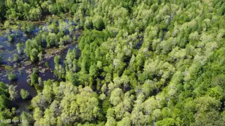 Off Speights Chapel Road, Whitakers, NC 27891 – photo 17: DJI_0586