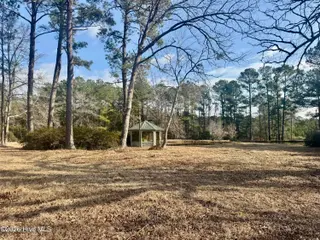 0 Near 4635 Hallsboro Road N, Clarkton, NC 28433 – photo 6: CPS 6