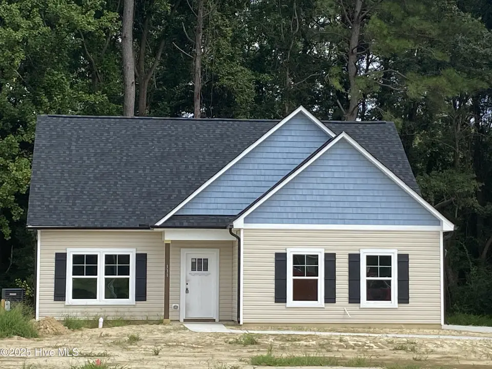 111 Chester Place, Pikeville, NC 27863 – photo 1 of 31: 111 Chester Place - Wilson