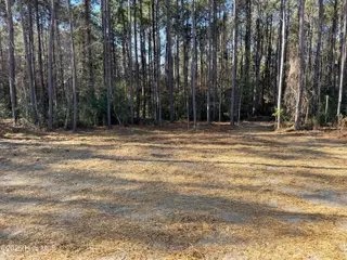 1134 Watts Landing Road, Hampstead, NC 28443 – photo 18: IMG_8989