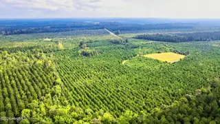 795 Pollard Swamp Road, Vanceboro, NC 28586 – photo 21: 21-print-Screenshot 2026-08-28 at 10.29.