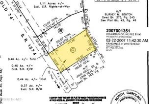 5524 Old Us Highway 74, Chadbourn, NC 28431 – photo 7: lOT c