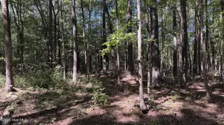 6033 Homestead Road, Elm City, NC 27822 — lot, Elm City, NC, photo 18 of 42: IMG_9316